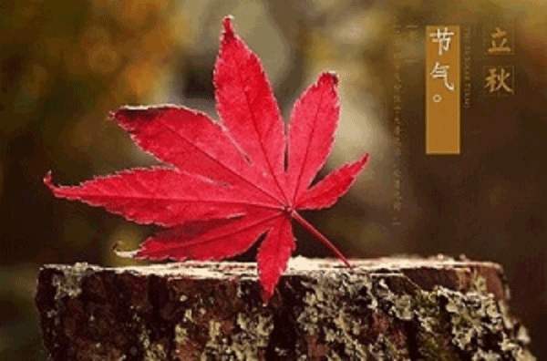 摄图网_500409930.gif